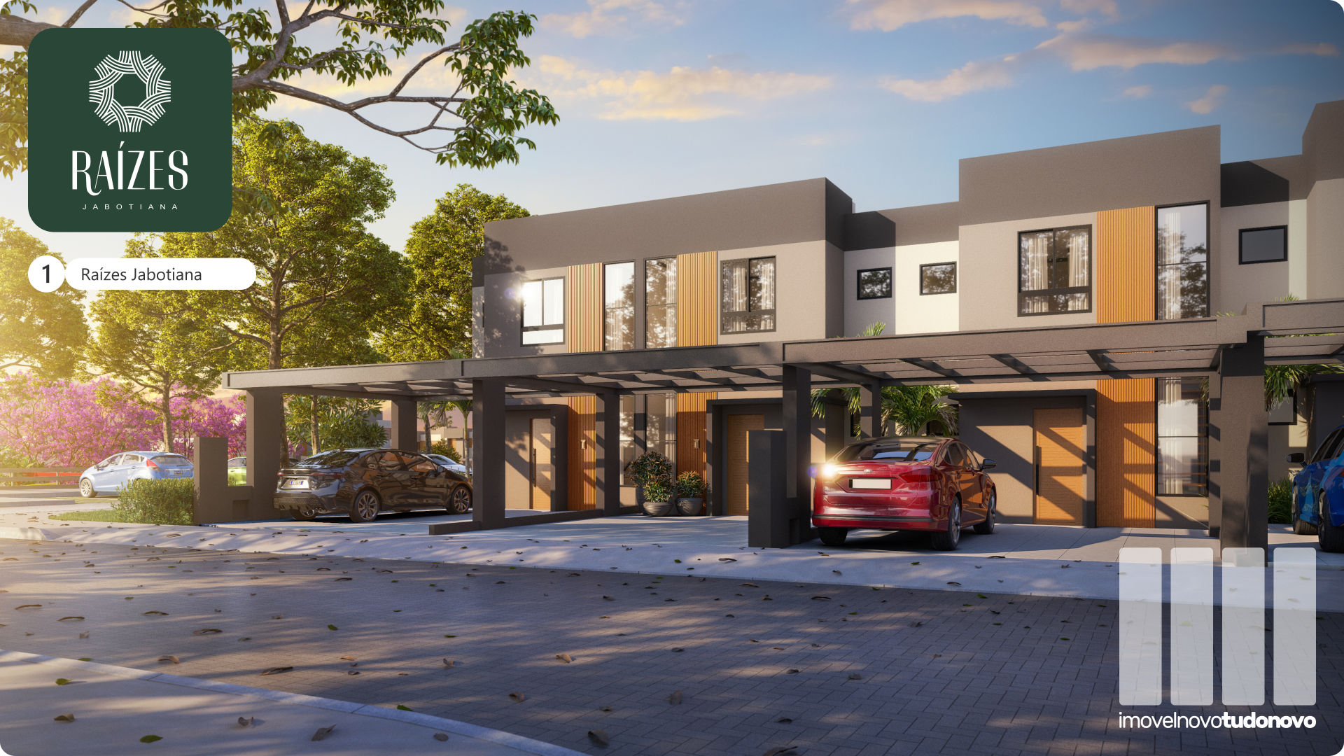 Ra&iacute;zes Jabotiana